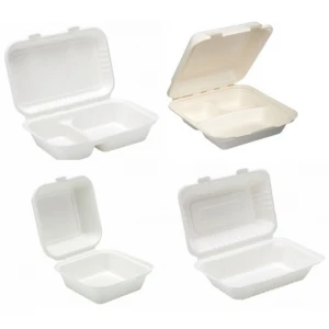 Compostable Burger & Food Boxes